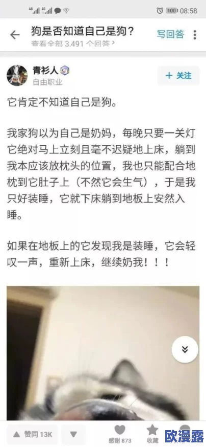 69人XXXXXXXXX69：网友热议事件背后的真相与影响，纷纷表达各自观点，引发广泛讨论和思考