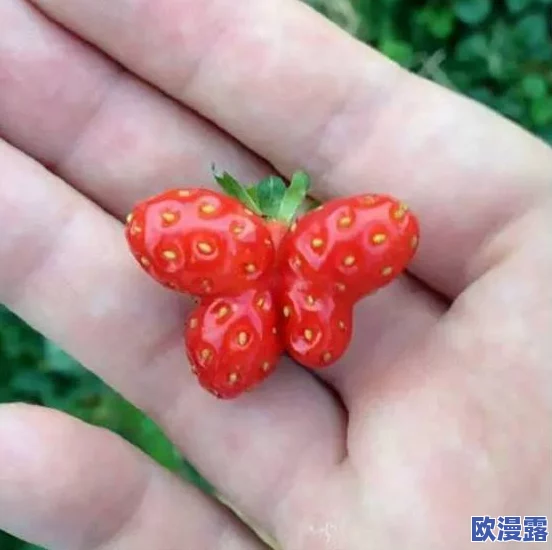 草莓丝瓜鸭脖发型，真是个奇特的组合，既有创意又让人忍俊不禁！
