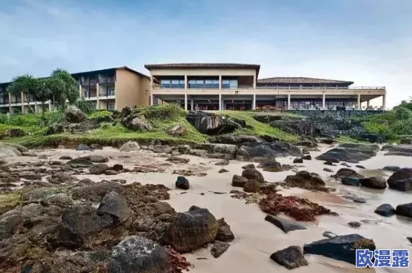 五十路海角社区，环境优美，邻里和睦，是个适合居住的好地方