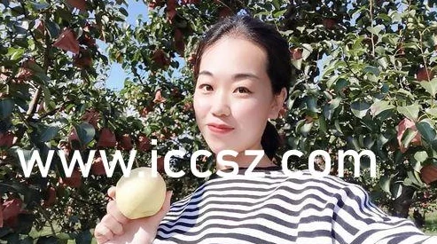 91麻豆高清国产在线播放：最新动态更新，提供更丰富的内容选择与观看体验，满足用户多样化需求