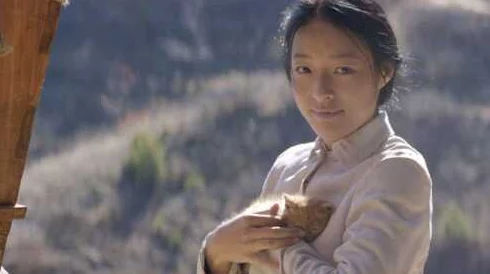 农村寡妇艳史：揭示当代农村女性在困境中追求爱情与自我价值的真实故事与挑战