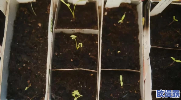 脱了在阳台趴着去h，这种行为真是让人感到不适，公共场合应该注意形象