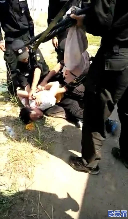 黄色高清在线观看，内容丰富多样，但需注意选择合适的观看环境和心态