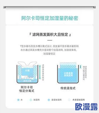 欧美h在线观看，内容丰富多样，满足了不同观众的需求，非常值得一看！