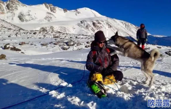 小白不言弃：全面揭秘雪山历险玩法内容，挑战极限之旅大公开！