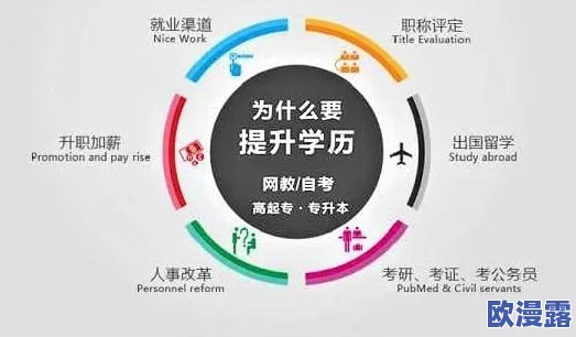 黄色一级片欧美，内容丰富多样，但需注意选择合适的观看方式和平台