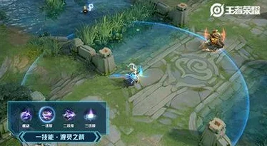 伽罗太华流白色液体，真是让人感到震惊，这是什么原因导致的呢？