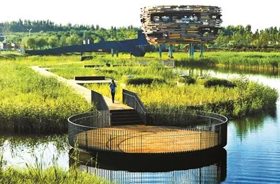 国产91一区二区在线播放不卡：最新动态揭示了该平台在用户体验和内容更新方面的显著提升，吸引了更多观众关注