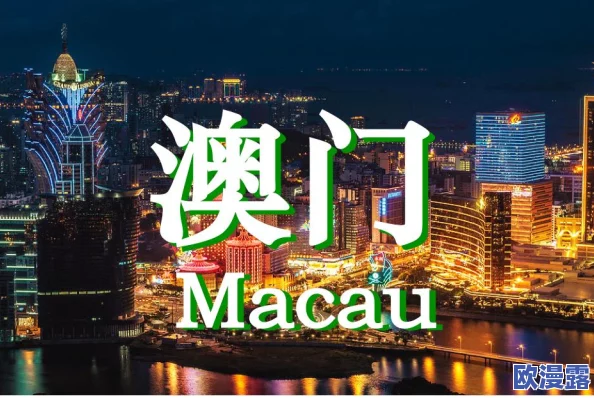 阴阳师手游澳门风云活动：打折期间竞猜攻略，五档收益详细解析与策略分享