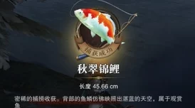 猎魂觉醒全面解析鱼类资源分布与最新钓鱼玩法详细介绍指南