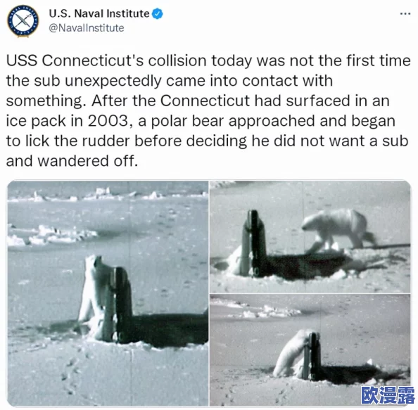 黑料网爆：网友热议事件背后的真相与影响，纷纷表达各自看法