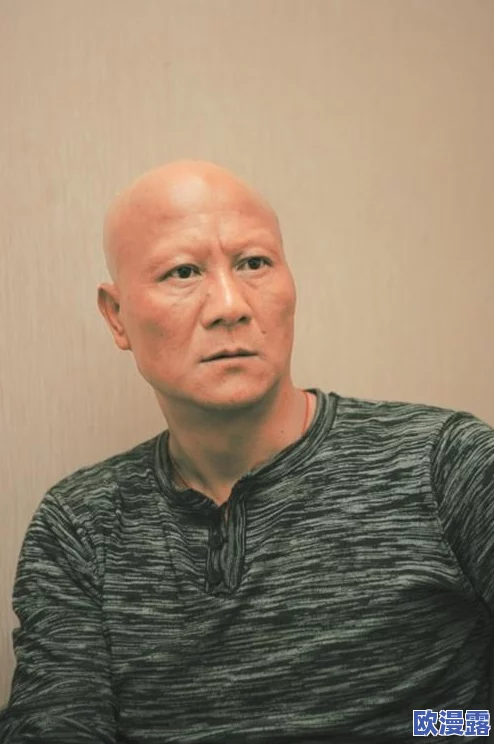 黎明游侠保卫炮台副本全攻略：高效打法与通关技巧详解