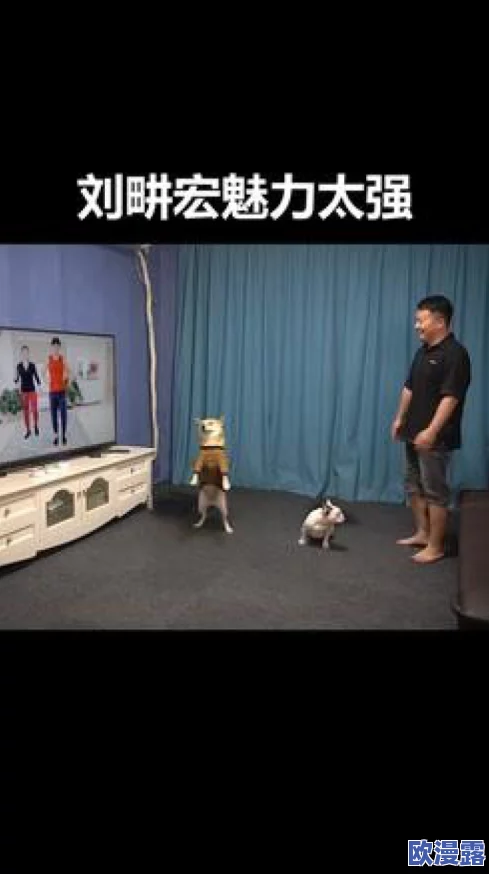我的继坶我的性老师69影院，内容新颖独特，让人忍不住想要一探究竟