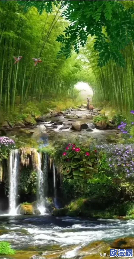 浓密的森林小溪在流淌水，听着水声仿佛能感受到大自然的宁静与美好