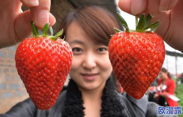 草莓污网站，内容丰富多样，但有些资源可能不太适合所有人观看
