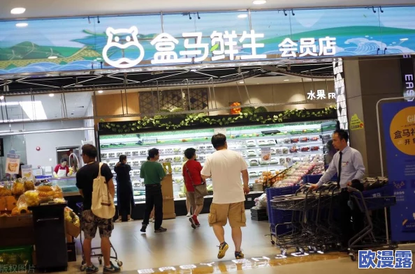 《命运/冠位指定》FGO罗生门复刻活动日常任务奖励全面详解指南