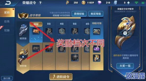 精灵幻熊在游戏中的主要加成效果：深度解析奖励得分提升点