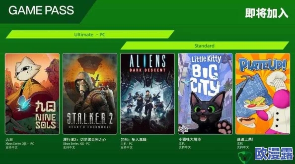 xbox播放高清影片一：这款设备的画质真是惊艳，音效也很棒，值得购买！