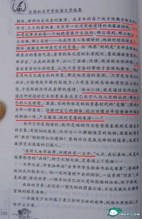 污小说网友认为这种类型的作品往往内容低俗且缺乏深度，但也有人觉得它们能满足特定读者的需求，反映了社会的一部分现象