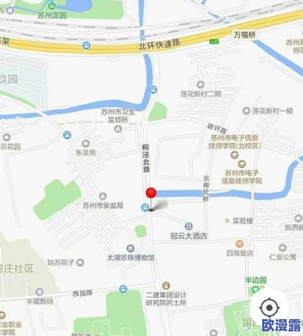 一级毛片一一级一级乇片：最新动态揭示行业发展趋势与市场反应，观众需求持续增长，内容多样化成为新常态