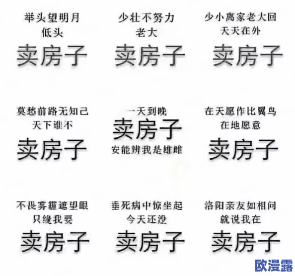 中-国-卖-婬-BBW士多毛的影响：文化、经济与社会三方面的深度解析与反思