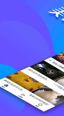 日本黄大片免播放视播放器全新功能上线让你随时随地畅享高清内容体验，绝对不容错过！