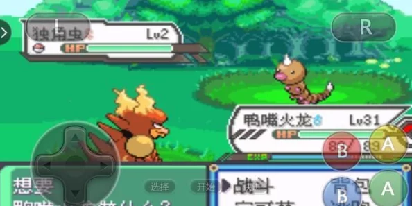 口袋妖怪重制版：详尽鸭嘴火龙捕捉地点与技巧全介绍