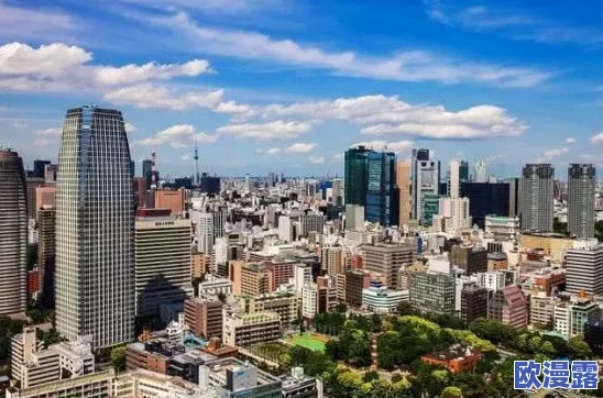 欧美.亚洲.日本一区二区三区，跨文化交流的缩影，让人对不同地区的风俗习惯充满好奇