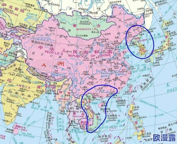 欧美.亚洲.日本一区二区三区，跨文化交流的缩影，让人对不同地区的风俗习惯充满好奇