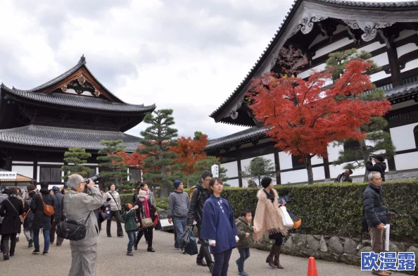 日本亚洲一区二区，真是一个充满魅力的地方，让人向往不已！