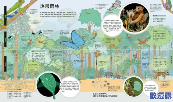 迈开腿看看你的森林科学家发现新物种栖息于城市森林中，揭示生态系统的神秘与脆弱性
