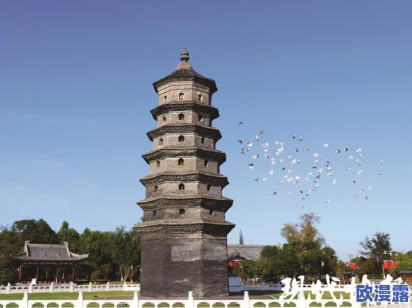 寻仙手游强化石奖励全面获取说明及活跃度提升玩法深度攻略