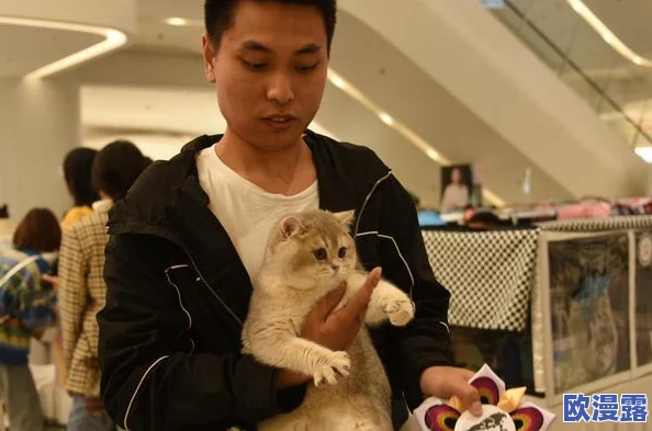 猫咪mv最新网名，真是太可爱了！每个名字都充满创意，让人忍不住想给自家猫咪也起个