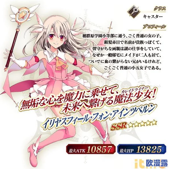 FGO魔法少女伊莉雅联动卡池来袭，下个活动限定角色抢先介绍与预测