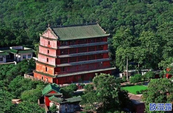 114大但人文艺，展现了城市的独特魅力与文化底蕴，让人感受到生活的多样性