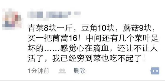 每章都有肉并且非常黄的小说引发热议读者纷纷表示欲罢不能情节紧凑让人沉迷其中成为网络热门话题