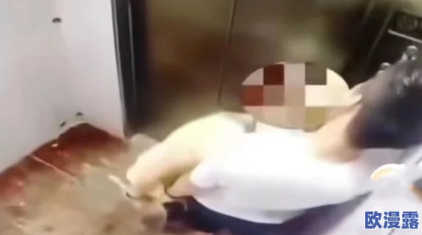 男女电梯二次做爰视频惊爆！真实记录令人震惊的瞬间曝光引发热议网友纷纷围观评论不断