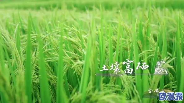 青草青草视频2免费观看全网热议的最新更新上线了，精彩内容不容错过，快来免费观看吧！