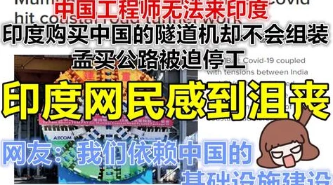 巴布工程师全集下载引发热议网友纷纷分享资源链接助力学习与创作提升工程师技能的最佳选择