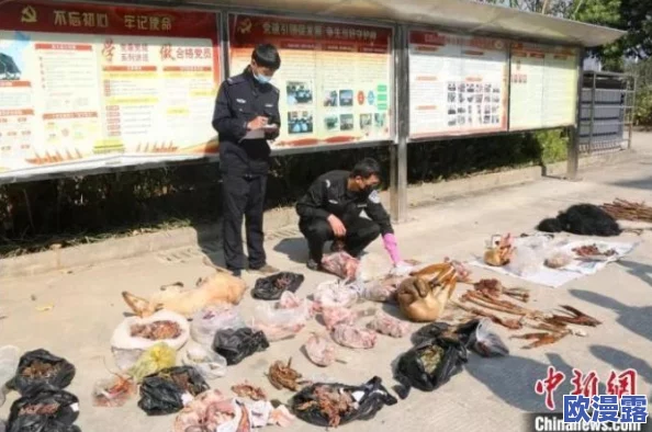 国产沟厕盗摄，令人发指的行为亟需严惩，保护隐私是社会的基本底线