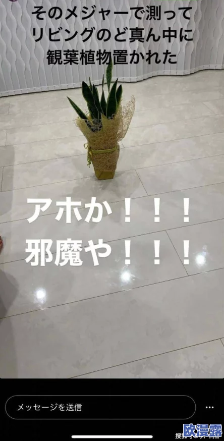 女的被到爽羞羞jk动态图，网友们纷纷表示这组图真是太有趣了，笑得停不下来！