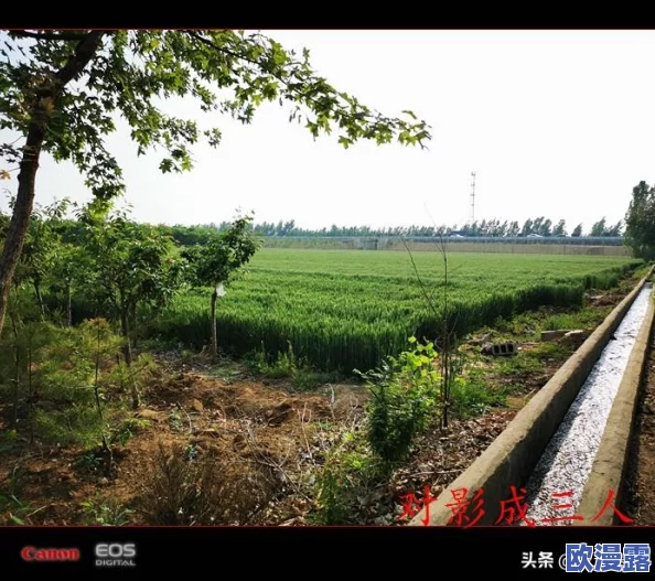 泰安＊当地发现罕见古代遗址专家称可能改变历史认知引发广泛关注与讨论