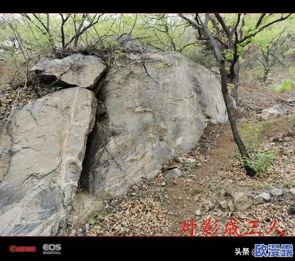 泰安＊当地发现罕见古代遗址专家称可能改变历史认知引发广泛关注与讨论