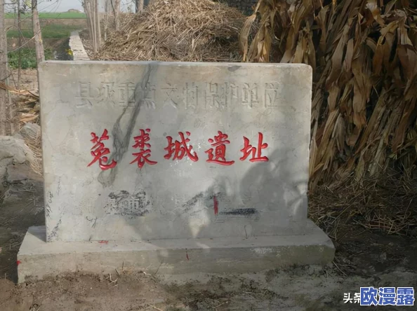泰安＊当地发现罕见古代遗址专家称可能改变历史认知引发广泛关注与讨论