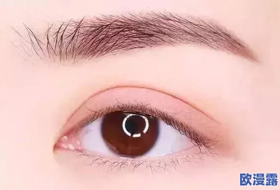 7777奇米成人四色眼影，色彩丰富，显色度高，非常适合日常妆容和派对使用