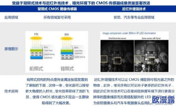 中国又粗又大又爽的毛片最新进展消息显示该领域正在快速发展，相关技术和市场需求不断增长，引发广泛关注与讨论