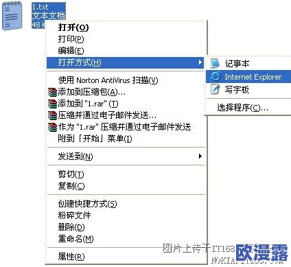 中文字幕乱码一区三区免费：最新动态显示该区域的内容更新频繁，用户体验持续优化，吸引了更多观众关注
