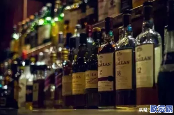 深度解析：黑暗与荣耀中的美酒聚会系统具体玩法及策略详解指南
