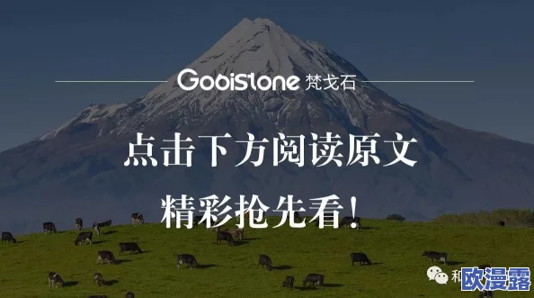 黑白森林国语在这个多元的世界里让我们感受到团结与希望一起追求梦想创造美好未来