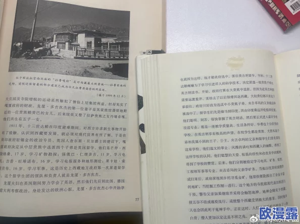 我与岳的性真实故事全文阅读最新进展消息：该作品在网络上引发热议，许多读者表示对情节发展充满期待
